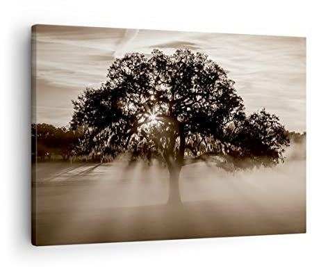 Moderne Impression sur Toile arbre champ nature Image Tableau Decoration Murale 70x50cm Deco Cadre Décoration Salon Chambre Cuisine Horizontal Tableaux Decoratifs Muraux Art Wall Decor AA70x50-3811