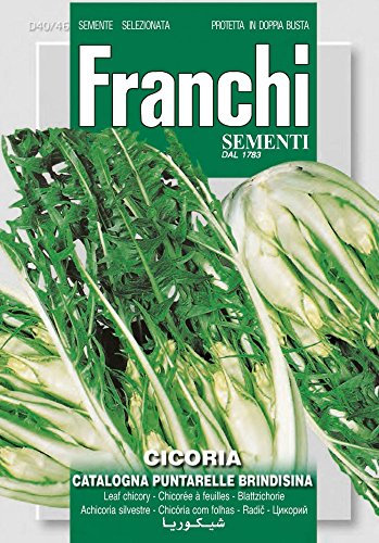 Franchi Sementi DBO40-46 Schnittzichorie Catalogna Brindisina (Salatsamen)