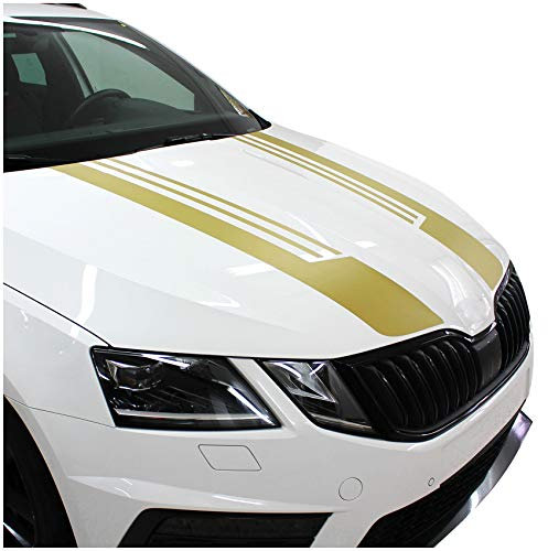 Auto Rallystreifen 4,5 Meter x 19 cm Ralleystreifen Aufkleber Viperstreifen Seitenstreifen Rennstreifen Wohnmobil (CDX156 4,5Meter x 19cm)