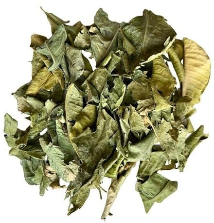 Tisane Oranger Bigarade feuille 50 grs Citrus aurantium var amara
