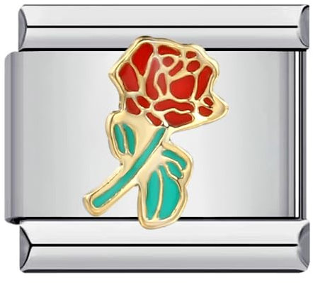 NOOFNO Italienische Armband-Charms, kompatibel mit 9 mm großen italienischen Charm-Armbändern für Damen, Herren, Blume, rote Rose. ICJ847, Einheitsgröße, Edelstahl, Kein Edelstein
