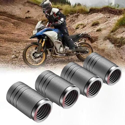 LOPAMCGH 4 Stück Motorrad Ventildeckel für BMW Motorrad M 1000 RR, Aluminium Ventilkappen, Reifenventil Kappen, Ventilabdeckung für LKWs Motorräder Geländewagen Fahrräder,C Grey