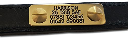 Engraving Studios Deeply engraved brass dog ID name plate, Fixes directly to collar. 50mm x 15mm