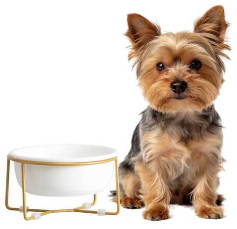 Elevated Ceramic Dog Bowl with Metal Stand - Raised Feeding Dish for Small Dogs and Cats - Ideal for Food or Water - Each Holds 400ml / 2 Cups (Approx. 200g) - White