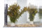 PondPlantsUK 2 x Live Plants for aquascaping, mosses, Fern, Tropical Aquatic Plants in Ceramic Weights (Ludwigia Arcuata)
