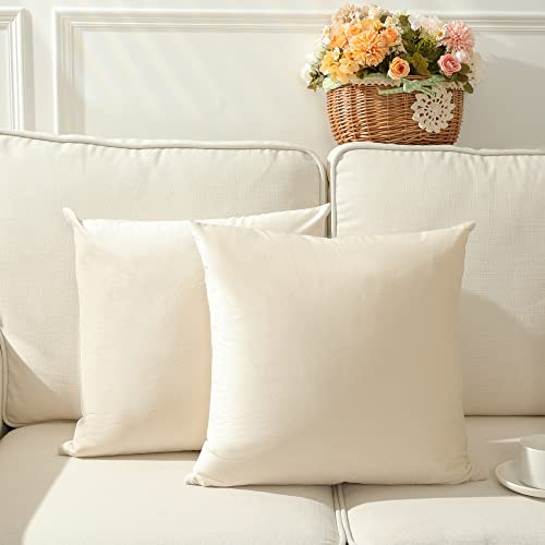 Stellhome 2 Packungen Samt-Kissenbezüge, quadratisch, groß, dekorative Kissenbezüge für Bett, Couch, Sofa, Bank (60 x 60 cm, Creme)
