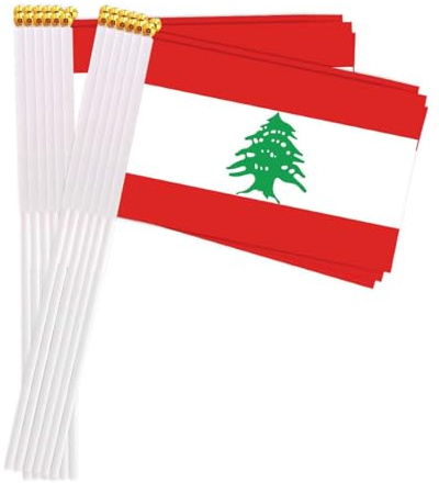 25 Packungen kleine Libanon Flaggen auf Handheld Stick, Miniatur Libanesisch Flagge, 4x6 Zoll Mini Hand gehalten Banner mit goldenen Topper(Lebanon)