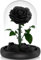 READAEER Konservierte Rosen im Glas (schwarz)