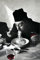 1art1 Kochkunst Poster Spaghetti, Rotwein, Don Camillo Kunstdruck Bild 120x80 cm