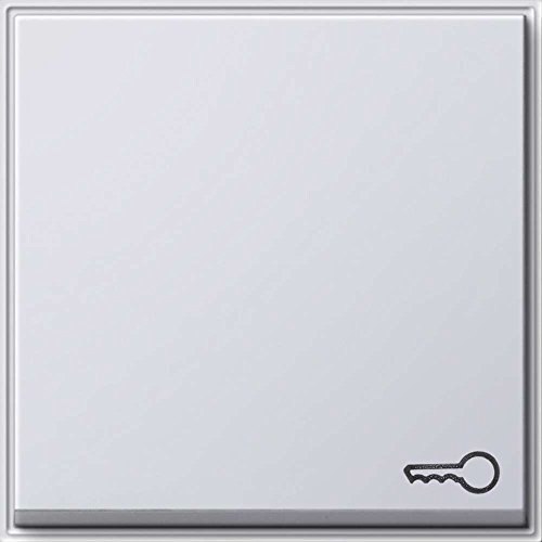 Gira 028766 Wippe Symbol Schlüssel Gira TX_44 (WG UP), reinweiß