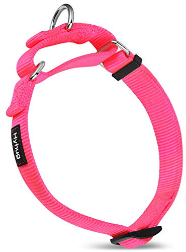 Solid Color Premium Upgraded Heavy Duty Nylon Anti - Escape Martingale Dog Collar for Boy and Girl Dogs (Small, Hot Pink)