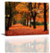 Piy Painting Herbst Leinwandbilder Roter Wald Gemälde Bilder auf Leinwand Wand Dekoration Baum Dschungel Wandbild für Yoga Raum Büro Home Deko 40x30cm 1 Paneel Eingebauter Holzrahmen