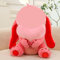 HTGWCG Cartoon Peluche Giocattolo Rosa Cuore che abbraccia Cartoon Giocattolo Carino Anime Giocattolo Bambola Ragazzo e Ragazza Regalo di Natale (30cm)