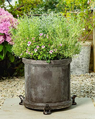 Potty Feet Lot de 3 figurines grenouilles pour pot de fleurs - Support de pot de fleurs - Ornements décoratifs faits à la main