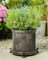 Potty Feet Lot de 3 figurines grenouilles pour pot de fleurs - Support de pot de fleurs - Ornements décoratifs faits à la main