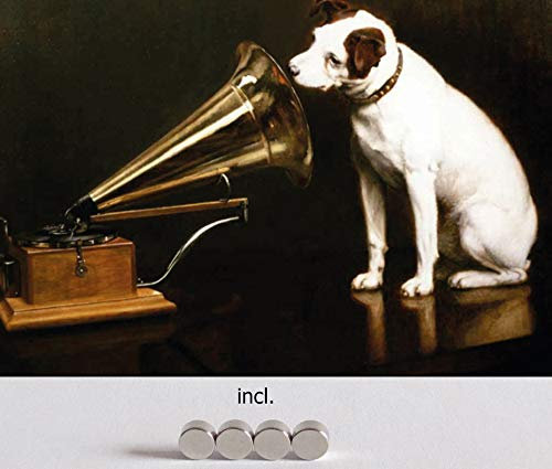 Blechschild 20x30cm gewölbt incl. 4 Magneten His Master´s Voice Hund Grammophon Nostalgie Retro Deko Geschenk Schild