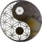 Yin Yang 3D Silhouette Wandbehang, Taichi Wandkunst Aus Metall, Blume Des Lebens Kunstwerk Zeichen, für Home Office Dekoration Skulptur (Size : 21.7/55cm)