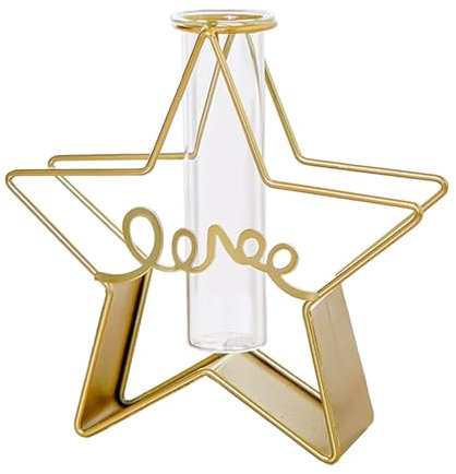 MISNODE Pflanzen-Terrarium mit Metallständer, Kunstglas-Anzuchtvase, Anzuchtpflanzgefäße für Hydrokulturpflanzen, Luft-Pflanzgefäß, Glasvase für Büro, Zuhause, Tischregal, Mittelstück (Stern)