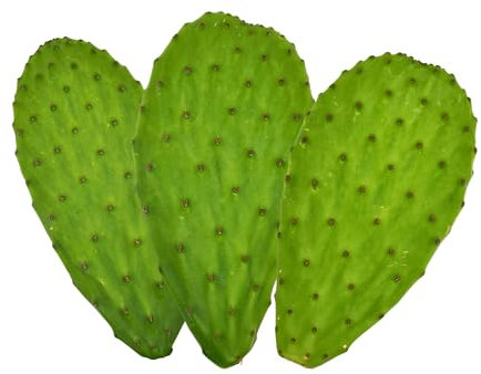 Bastadduni - Pale di Fichi d'India Siciliani Commestibili 3kg - Nopal - Da utilizzare in cucina per insalate, cotolette vegetariane, grigliate, frullati - 100% Naturali e Vegane - Made in Italy