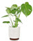 Fox & Fern Maceta, macetas de 12 pulgadas para interiores, macetas blancas para plantas de interior, se adapta a soportes modernos de mediados de siglo, poliéster, blanco