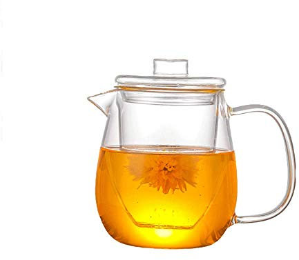 WINIAER Tetera de cristal con tetera de 600 ml de borosilicato para té suelto, tetera de hojas transparentes con colador