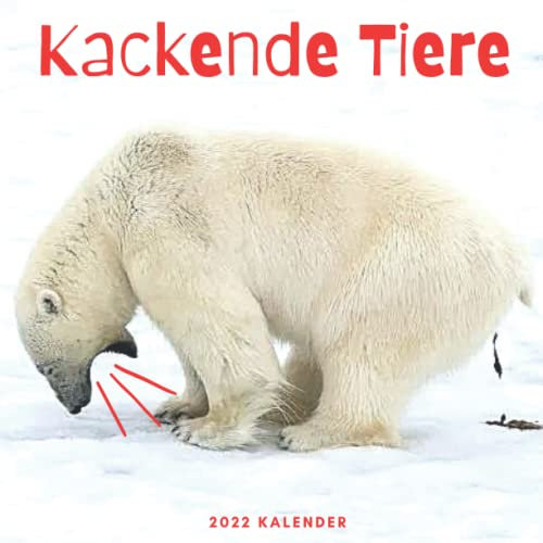 Kackende Tiere Kalender 2022: Lustige Kalender 2022 für Erwachsene - 8.5x8.5 inches - Geschenke für Familie und Freunde - Tiere Lustig