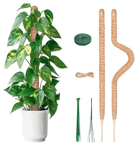 YAUNGEL Moss Poles, 2 Pcs 80CM Coir Totem Poles with 20M Twist Ties, Indoor Plant Support