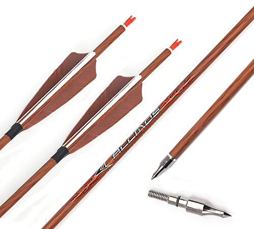 ACCMOS ID 6,2 mm Spine 700 Jagdpfeil Holzähnlich Carbon-Pfeile für Recurve Bogen Compound Bögen 12Stück (28inch, Spine 700)