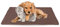 Haustiermatte - weiche warme Haustierdecken ÖKO-TEX 100 perfekt für Katzen bis große Hunde - S-XL - Steppdecke für Sofa/Bett - Schutz
