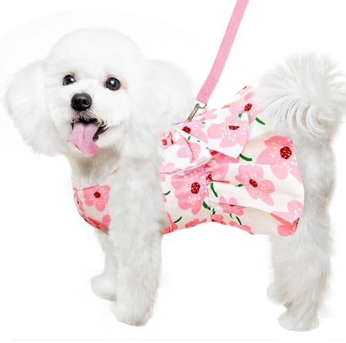 Robe Harnais pour Chien avec Laisse,Robe pour Petit Chien Vêtements,Jupe Respirante pour Animal Domestique,Vêtements pour Chiens de Petite Taille pour Chat de Petite et Moyenne Taille (M)