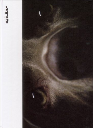 Ambient Motion Pictures - Vis-á-vis