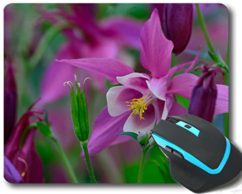 YENDOSTEEN Colors Gaming Mouse Pad Custom Design Mat, Rose Petals Flowers Aquilegia Gaming Mouse Mat 220 * 180 * 3 mm