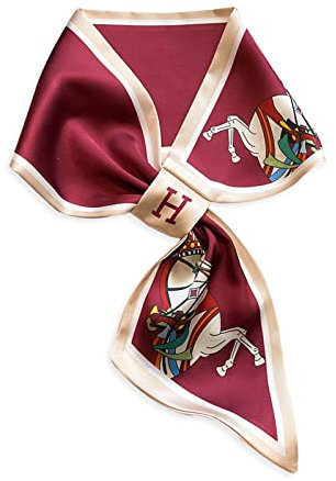 LumiSyne Seidenschal Damen Skinny Schal Einfacher Durchziehen Design Französische Vintage Stil Schmaler Lange Halstuch Leicht Satin Kleine Schal Dekorative Kopfschmuck Stirnbänder Haarband Ribbon