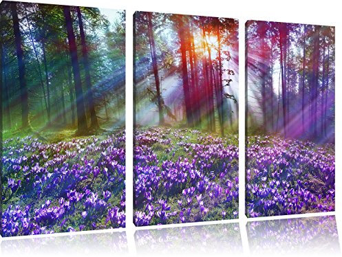 Lavanda in 3 pezzi immagine Foresta tela 120x80 su tela, Immagini XXL completamente incorniciato con grandi cornici di cuneo, stampe d'arte sulla foto parete con telaio, gänstiger come un quadro o un dipinto a olio, non un manifesto o cart