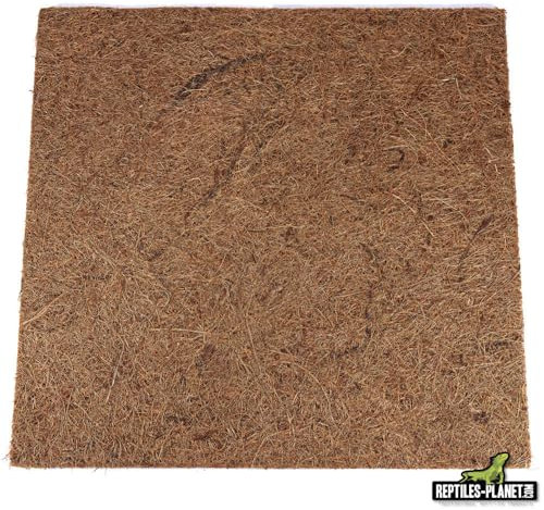 Reptiles Planet Rückwand für Reptilien/Amphibien Jungle Coco Background 30 x 30 x 1 cm
