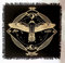INDACORIFY Altar-Tischdecke mit Fransen Alter Tarot Hexerei Spread Tischdecke Meditations-Spirituelles heiliges Tuch 18 x 18 Zoll (Goldene freie Wilde Eule)