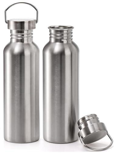 LyyGuanYoo 2 Pack 18/8 Stainless Steel Water Bottle, 26OZ Single Wall Stainless Steel Water Bottle for Camping Picnic, Metal Sports Kettle with Handle for Runners, Hikers, Cyclists