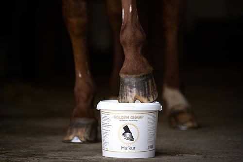 Golden Champ Hufkur 3 kg – Ergänzungsfuttermittel mit Biotin, Zink & Mineralstoffen – für gesunde, stabile Hufe & verbessertes Hufwachstum – Mineralfutter für Pferde