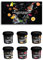 Botaniche Per Gin Tonic – 6 Botaniche Di Base Per Il Tuo Gin Tonic - Adatte Per Professionisti e Appassionati – Idea Regalo Elegante Per Ogni Occasione - Made in Italy