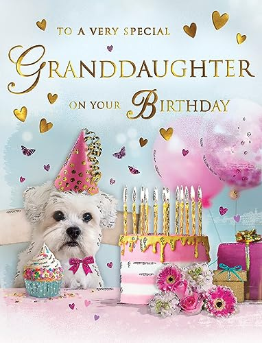 Regal Publishing Traditional Birthday Card Dog - 8 x 6 inches - Piccadilly Greetings