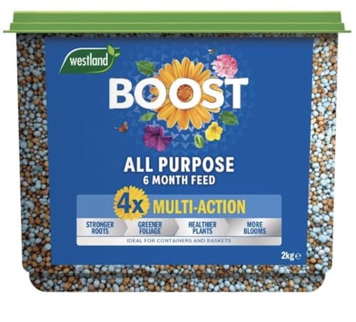 Westland Boost Slow Release Plant Food 2kg, Blue