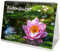 Blütenzauber DIN A5 Tischkalender für 2026 Blumen und Blüten - Seelenzauber