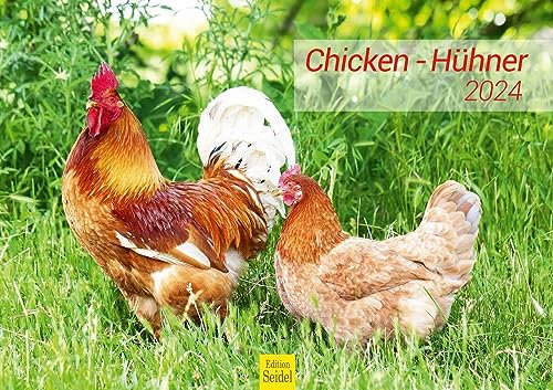 Edition Seidel Premium Kalender Hühner 2024 Format DIN A3 Wandkalender Tierkalender Hühnerkalender Haustiere Huhn Hahn Kücken Vögel