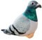 Folpus Vogel Stofftier Simulierte Taube Plüschtier Raumdekoration Ornamente für Sofa, Grün blau