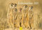 Edition Seidel Premium Kalender Erdmännchen 2025 Format DIN A3 Wandkalender Tierkalender Afrika Zoo Natur Rudel Säugetier Wildtier