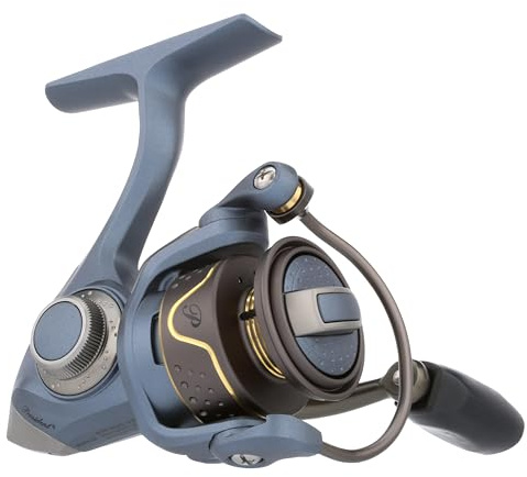 Pflueger President Spinn-Angelrolle