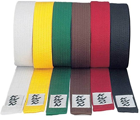 Kwon Taekwondo Judo Karate Gürtel Budogürtel Wettkampfgürtel 4 cm einfarbig