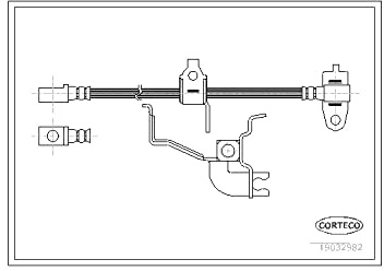 Corteco 19032982 Bremsschlauch vorne rechts