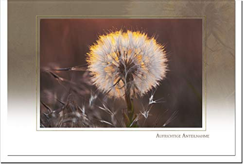metALUm Trauerkarte ABSCHIED | Pusteblume 3300033