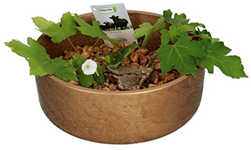 Pottery Pots Ethan Dekoschale Bronze, Größe M, handgefertigte Schale aus Glasfaser, Stein u. Beton, Deko für Drinnen & Draußen, wetterfest